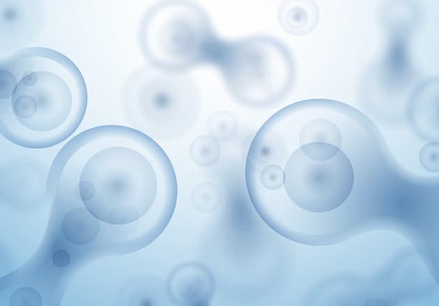 平衡免疫系統作用