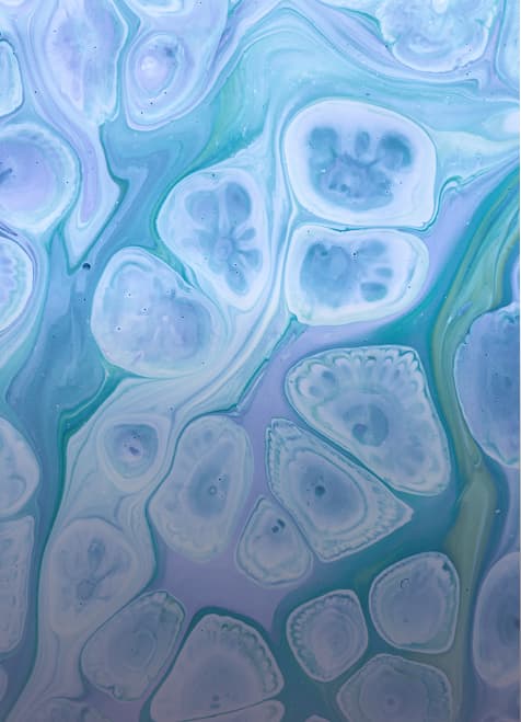 免疫疾病 Immunology