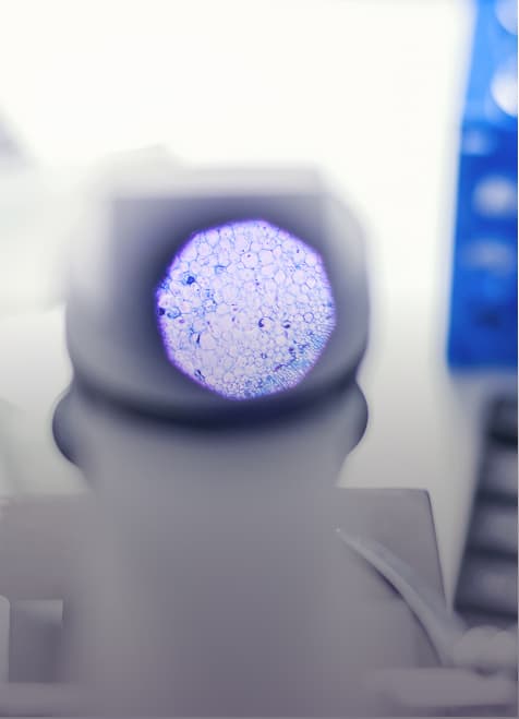 癌症腫瘤 Oncology